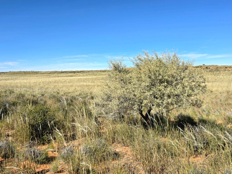 Commercial Property for Sale in Upington Rural Northern Cape